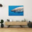 Powerful Great White Shark Contemporary Fish Shark Nature Ocean Wall Art Print-460078681