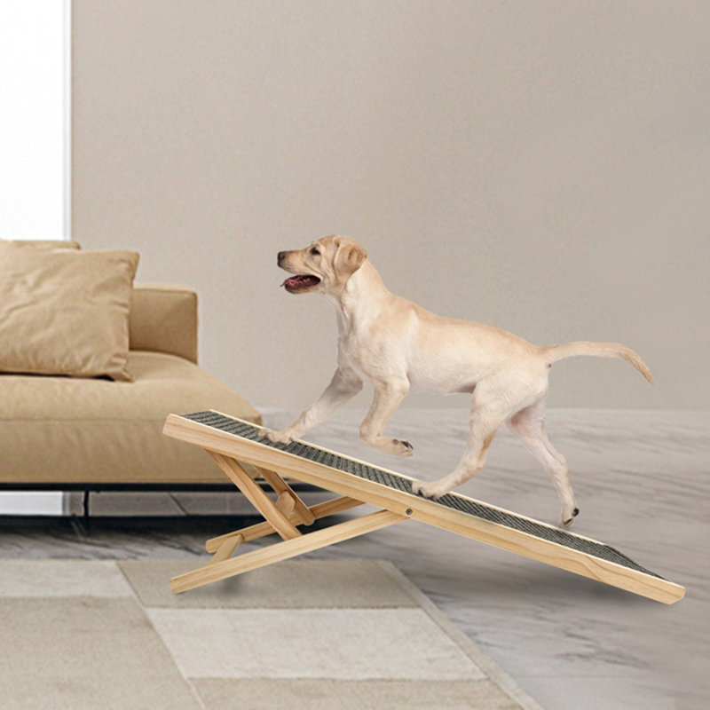 Pet Ramp