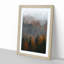 Misty Forest in the Autumn - Picture Frame Graphic Art Print-55733475-55733478