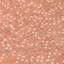 Tapis lavable intérieur / extérieur Mirelia -691381999