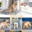 Lit pour animaux Esmie