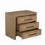 Wren Oak Wood Chest - Dawn