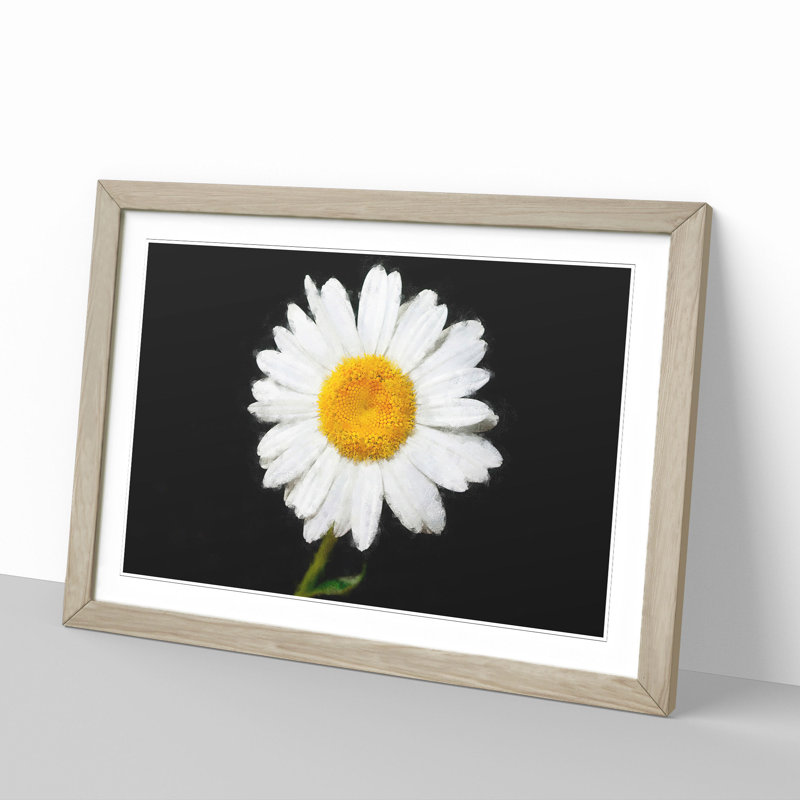 White Daisy Vol.6 Painting - Picture Frame Graphic Art, 27cm H x 36cm W x 2cm D, Oak