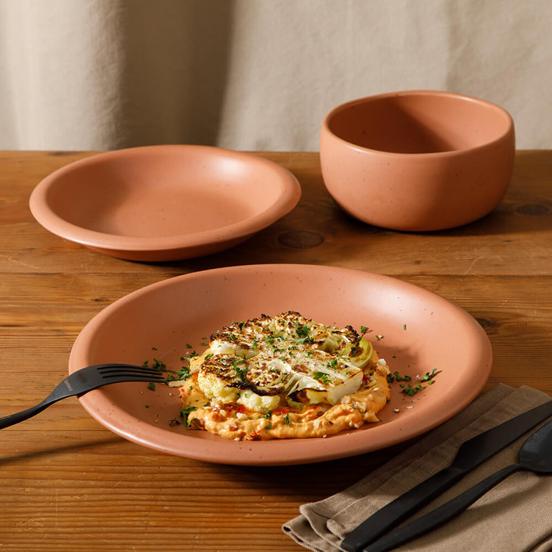 Bloomhouse Corcisa Clay 12 Piece Stoneware Reactive Glaze Dinnerware Set - Prosecco Blush Pink, Brown
