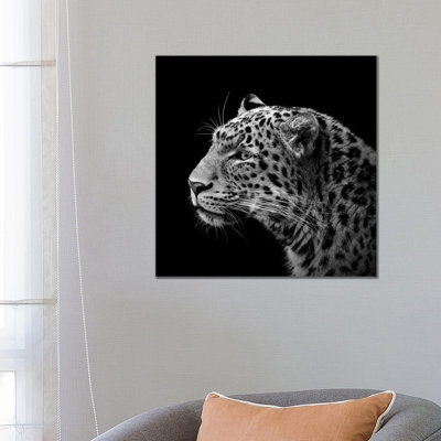Leopard In Black And White I by Lukas Holas - Wrapped Canvas Print