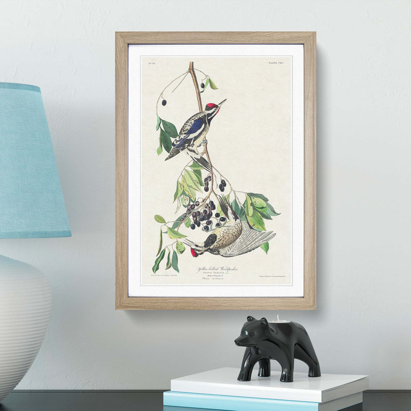 Yellow-Bellied Woodpeckers by John James Audubon - Picture Frame Art Print, 65cm H x 48cm W x 2cm D, Oak Framed