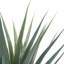 2 pièces d'agave artificiel à pointes
