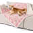 Taffy Rosewater n'est pas disponible
