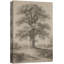 Chêne rétro sépia, paysage, impression sur toile encadrée-1849063057-1849063067