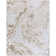 Nyland Machine Woven Indoor Area Rug