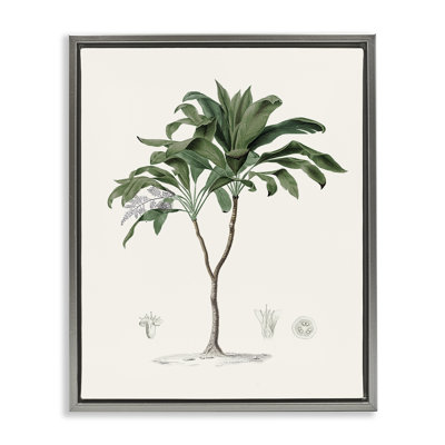 Cadre flottant vintage Coastal Palms, design par Val Rhodes