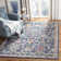 Gourdine Performance Oriental Rug