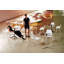 Outdoor Dining Side Chair-36815838