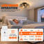 20 " Ceiling Fan-627217796