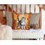 Coussin American-112679488