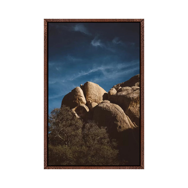 Joshua Tree National Park XIII by Bethany Young - Print on Canvas, 66.04cm H x 45.72cm W x 3.81cm D
