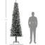 Arbre 7,5 pi.