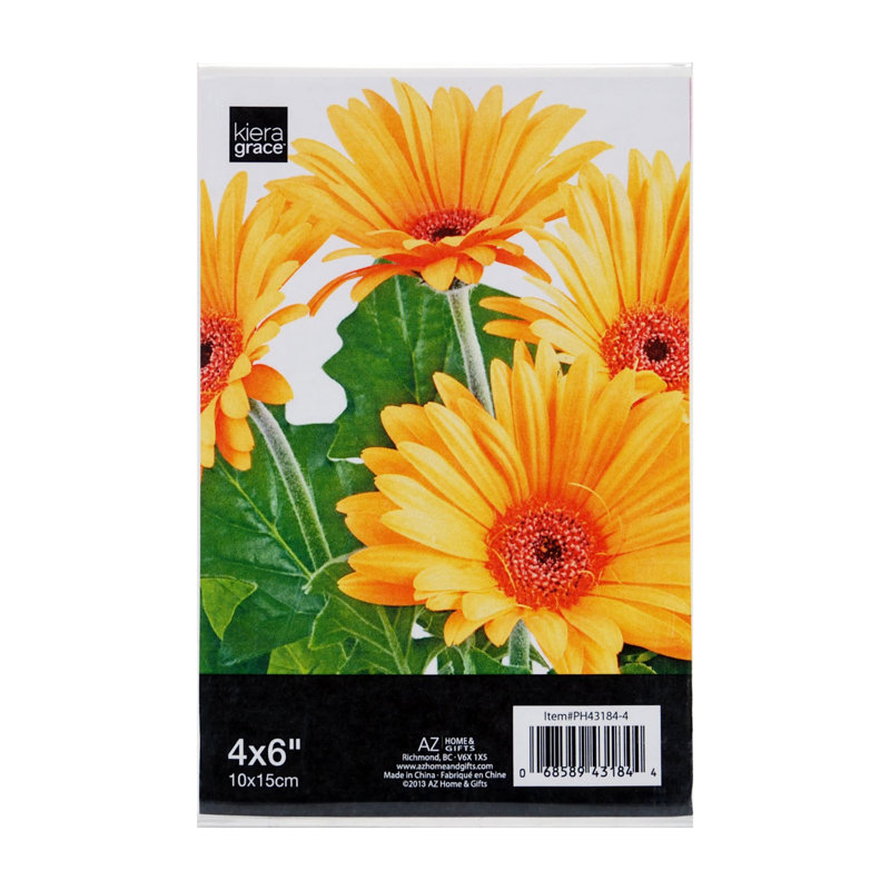 Cadre photo simple en transparent, 4 po x 6 po