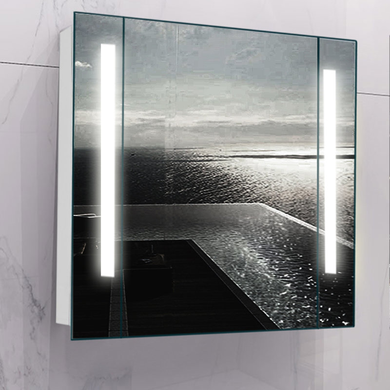Adorian 640mm W 600mm H Surface Frameless Medicine Cabinet with Mirror and 2 Adjustable Shelves