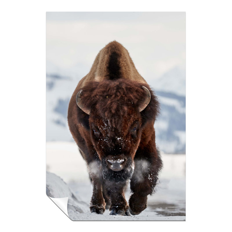 Running Brown Bison In Wildlife - No Frame Print, 31cm H x 20cm W