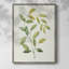 «Wilted Vine I», reproduction encadrée - bois massif-60291165