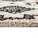 Felipe Green Southwestern Shag Area Rug
