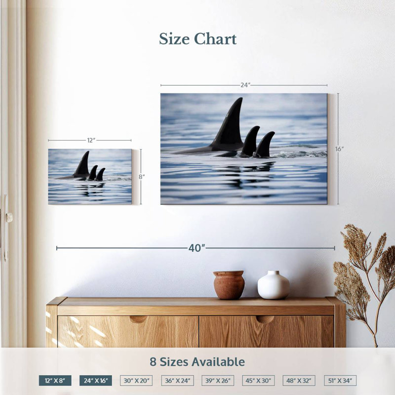 Brampt Killer Whale Fins