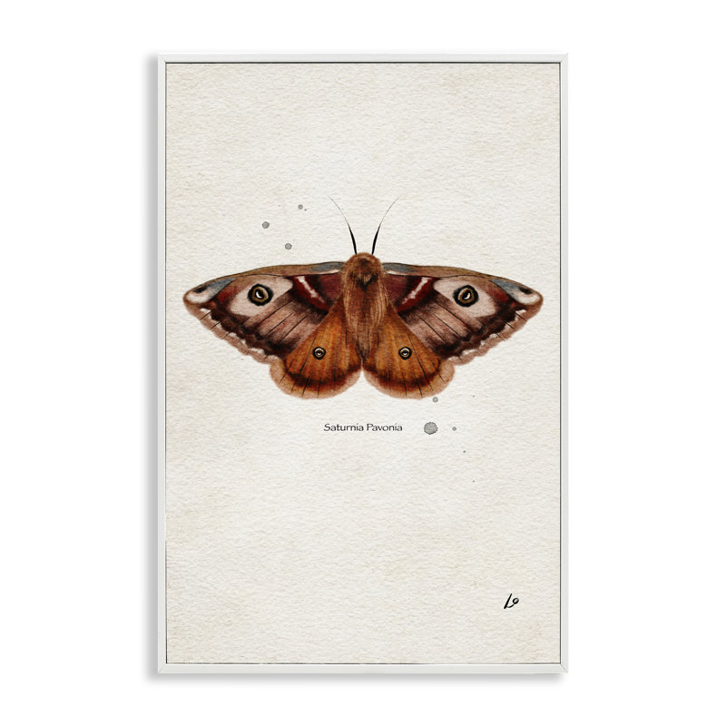  Art de giclée encadrée scientifique jaune par Lydia , H 24 po x l 16 po, Estampe numérique encadrée blanc bord de mer