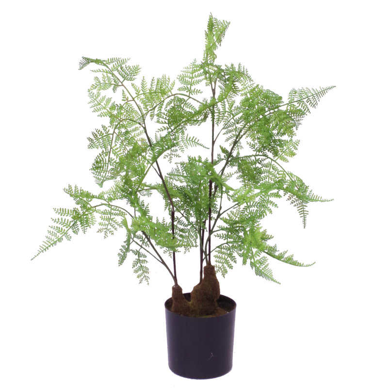 Faux Fern Plant in Pot Liner, 60cm H x 40cm W x 40cm D