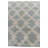 Ohare Light Gray Rug