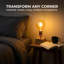 Desk Lamp