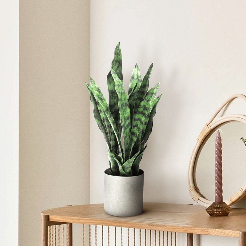 Plante de serpent artificielle Sansevieria en pot, Petit