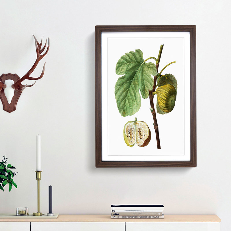 Fig Fruit by Pierre-Joseph Redoute - Picture Frame Painting Print, Walnut Framed, 36cm H x 27cm W x 2cm D
