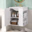 Armoire de salle de bain murale 20 po avec armoire latérale