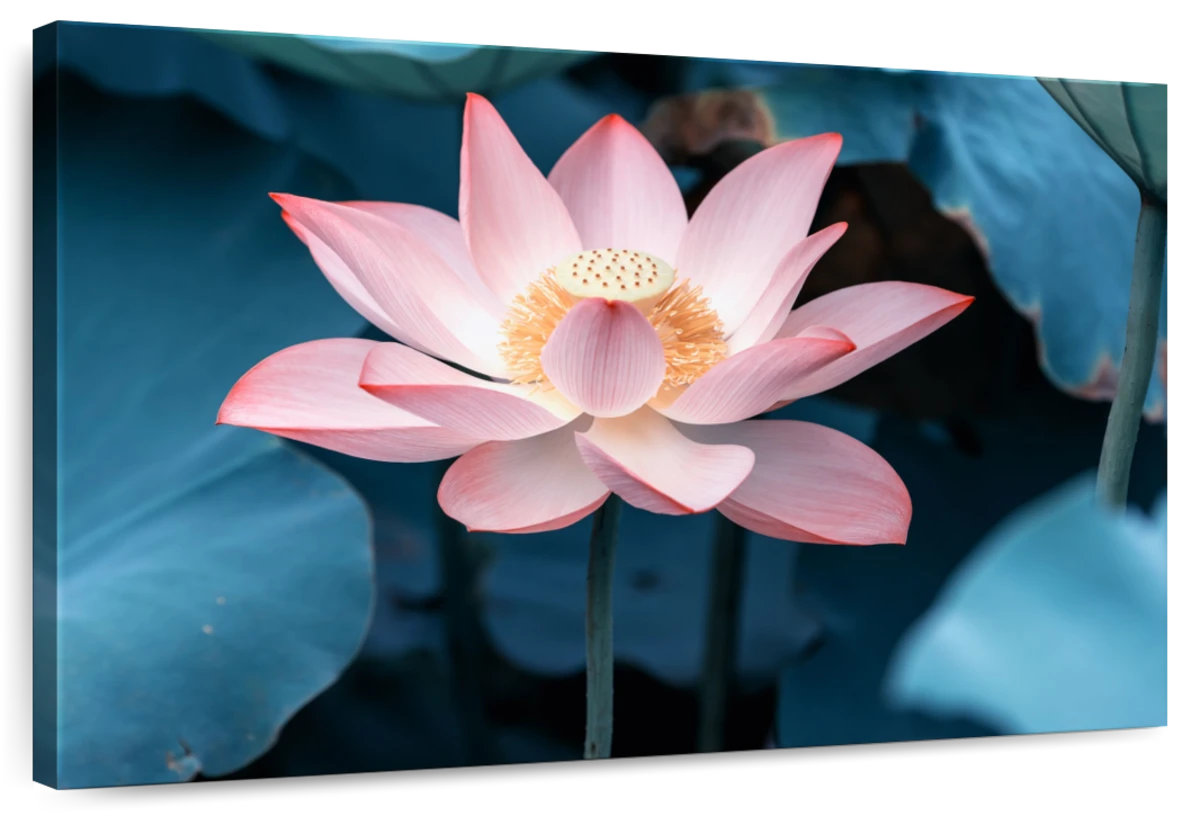 Image result for Lark Manor™ Harnek Midnight Lotus | Wayfair