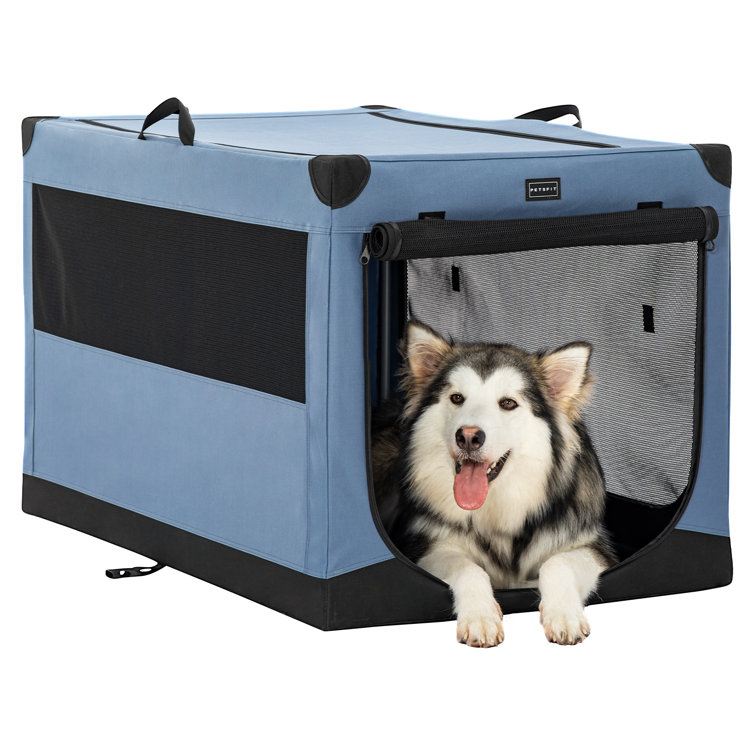 Feandrea Dog Carrier, Collapsible Pet Carrier, XXXL, Portable Soft Dog  Crate, Oxford Fabric, Mesh, Metal Frame, with Handle, Storage Pockets, 40 x  27