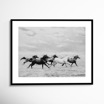 Horse Run I by PHBurchett