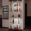 Armoire de rangement en verre trempé noir avec lumières télécommandées, éclairage intégré, 5 espaces ou plus, style classique, pieds réglables en bois franc d'ingénierie réglables et capacité de 110 lb, 13,93 po de largeur,-2045640455