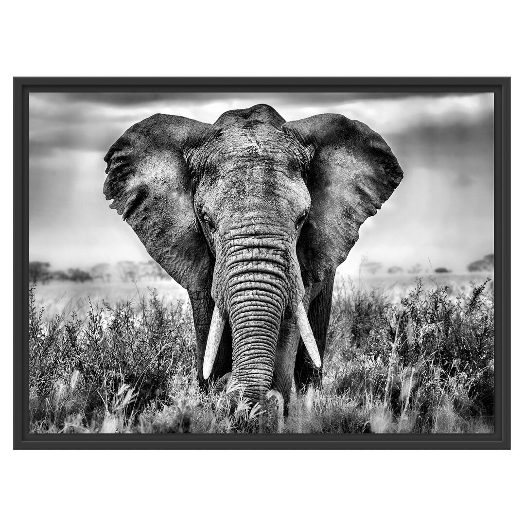 Gerahmtes Wandbild Imposanter Elefant