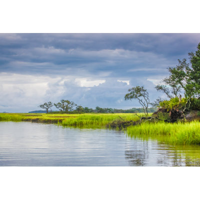 Lush Marsh Vista by Beachcottagephotography