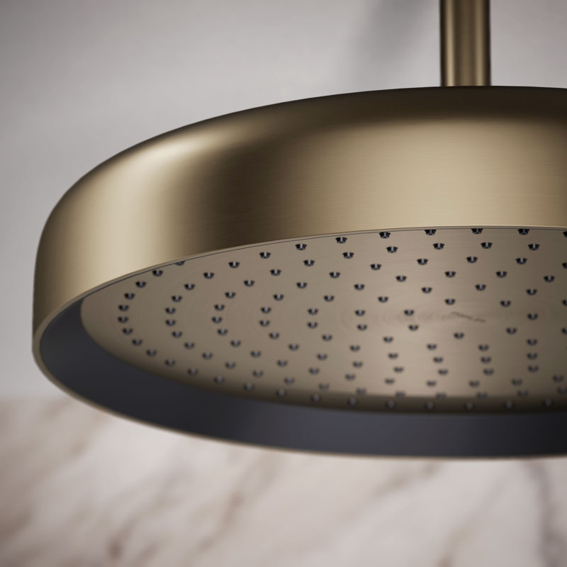 Statement 14" Single-Function Wall or Ceiling-Mount Round Rainhead, Round Rain Showerhead 2.5 GPM, Vibrant Brushed Bronze