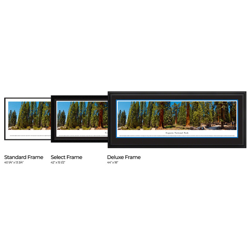 Impression panoramique du parc national Sequoia, Sans cadre, H 13,5 po x l 40 po