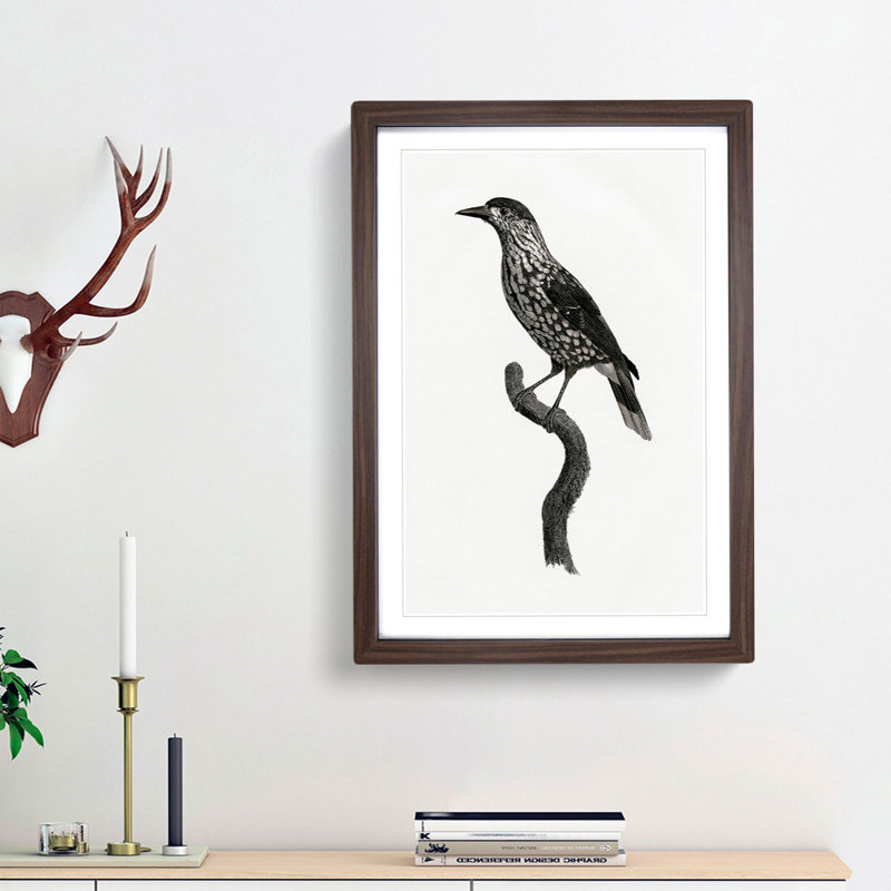 Nutcracker Bird by Jacques Barraband - Picture Frame Painting Print, 48cm H x 36cm W x 2cm D, Walnut Framed