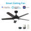 Ventilateur de plafond standard à 52 pales 52 po avec télécommande et ensemble d'éclairage inclus Tishkevich 52 po