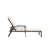Outdoor Chaise Lounge Chair-1019398666