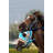 Two Brown Racing Horses by Winhorse - Wrapped Canvas Print-697843643