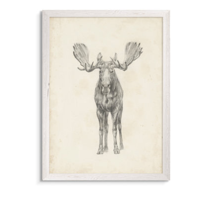" Moose Study " by Paul Cezanne