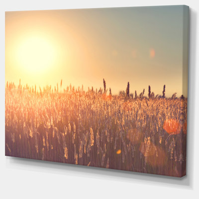 "Rurale terre sous le soleil brillant", reproduction de photo sur toile tendue