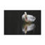Art mural sur toile avec cygne blanc-1560242992
