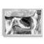 Foxhound - Cadre photo, reproduction d'art sur toile-63598276-63598279